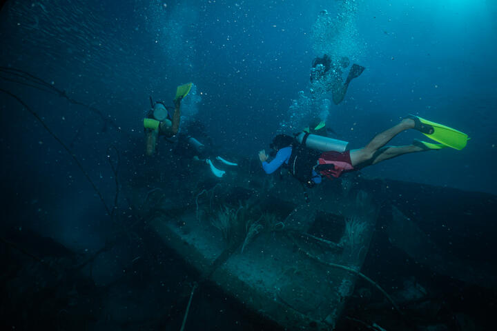 Wreck Dive
