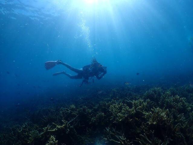 Photographer from Thailand