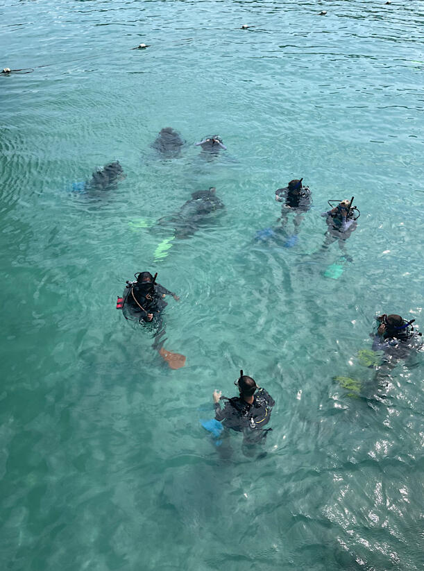 Fun Dives Packages