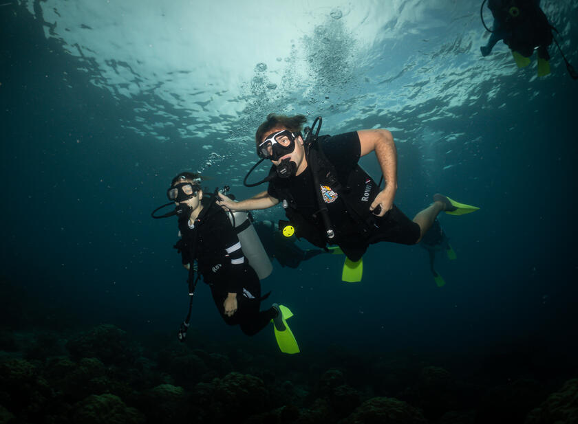 Fun Dives Packages