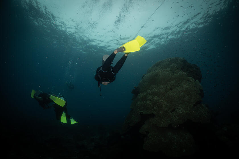 Fun Dives Packages