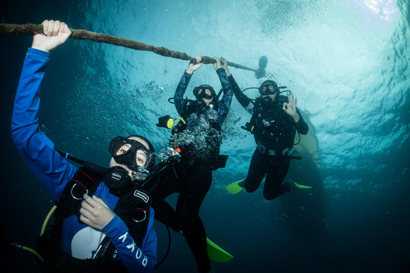 Fun Dives Packages